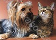 Квартальний календар на 2011 рік. Собака та кішка