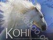 Коні. Походження та характеристики 100 порід коней із всього світу